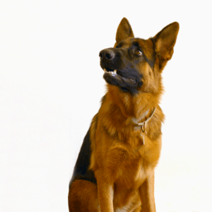 Spécialistes en UX design et conception de produits à 